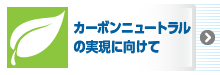 カーボンニュートラルの実現に向けて