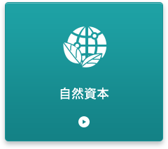 自然資本