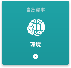 環境