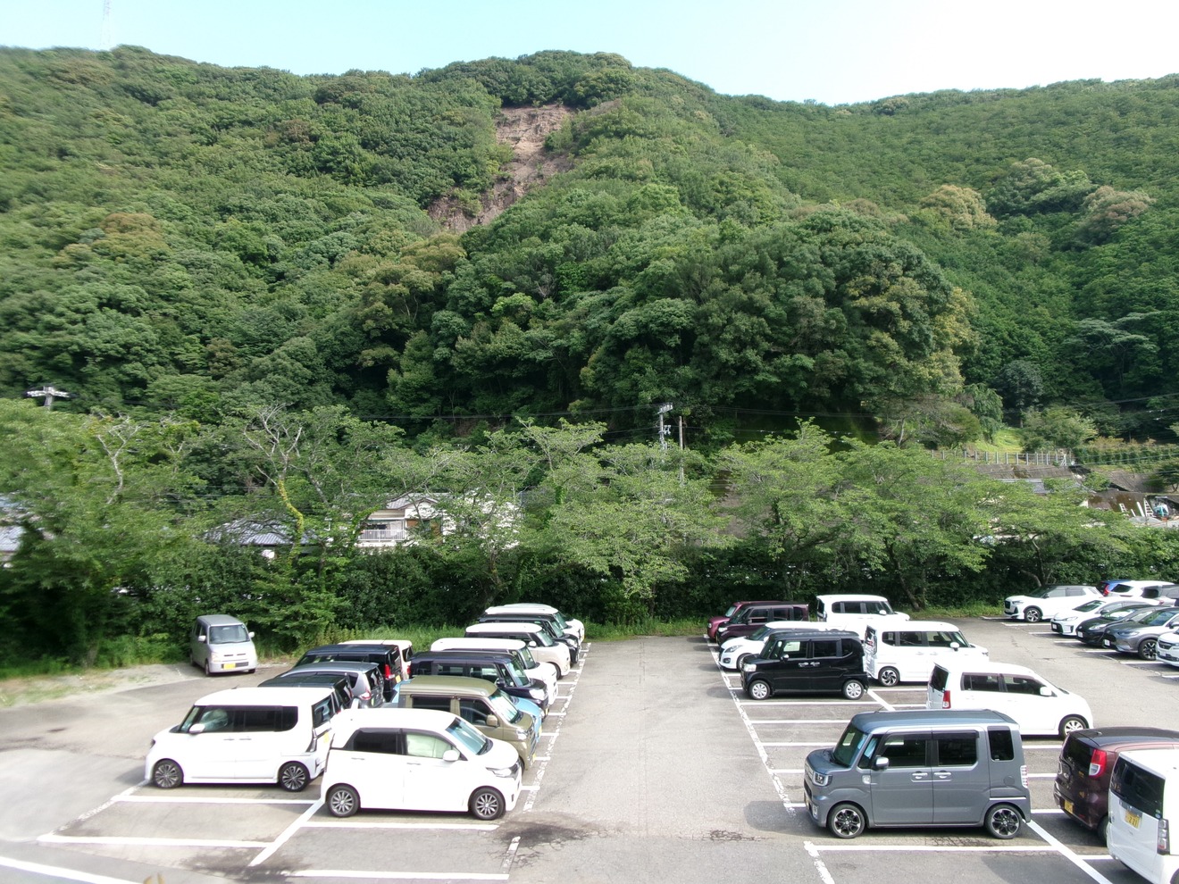 騒音低減に向けて植樹を行った工場周辺(紀南製作所)