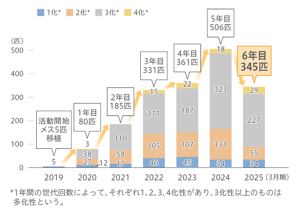 ミヤマシジミ保護区　成虫発生数（長野製作所）