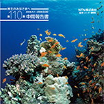 2009年3月期 中間事業報告書(日本語)