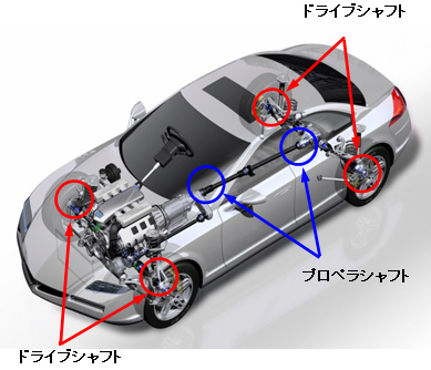 写真：適用部位