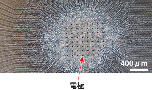 図:微細塗布装置で配置