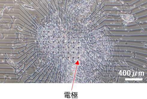 図:人手作業で配置