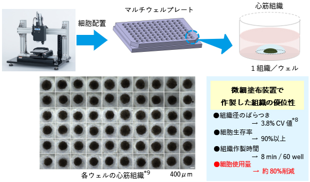 図:マルチウェルプレート上へのiPS心筋細胞の塗布による薬剤評価実験