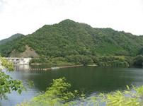 写真：「NTN奥河内 湖畔の森」の活動を行う滝畑ダム周辺（大阪府河内長野市）