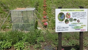 製作所の敷地内に整備された保護区