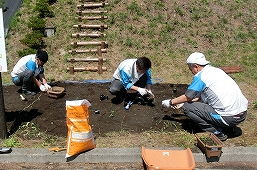 保護区で食草の植え付けを行う従業員