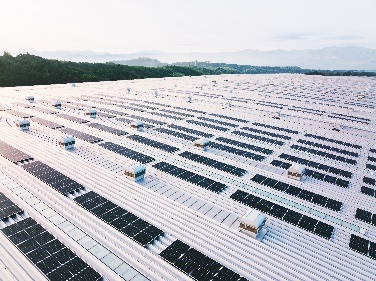 写真:和歌山製作所に設置した太陽光パネル