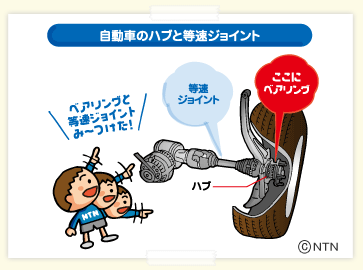 自動車のハブと等速ジョイント