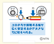 タマとコロ