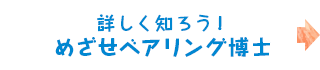 詳しく知ろう！めざせベアリング博士